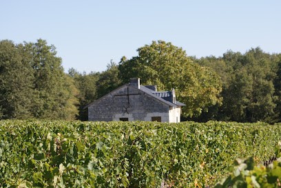 Domaine Patrick BARC, Vignoble à Rivière