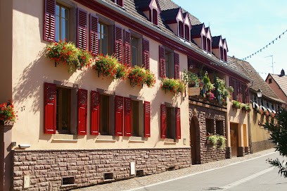 Aimé Stentz, Vignoble à Wettolsheim