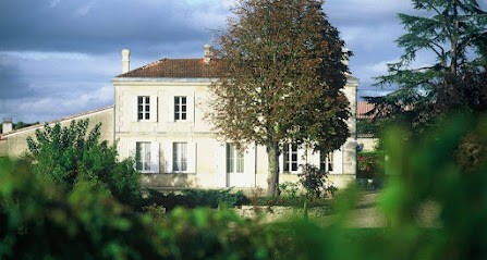 Château Villars, Vignoble à Saillans