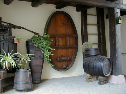 Mochel-Lorentz Viticulteurs, Vignoble à Traenheim