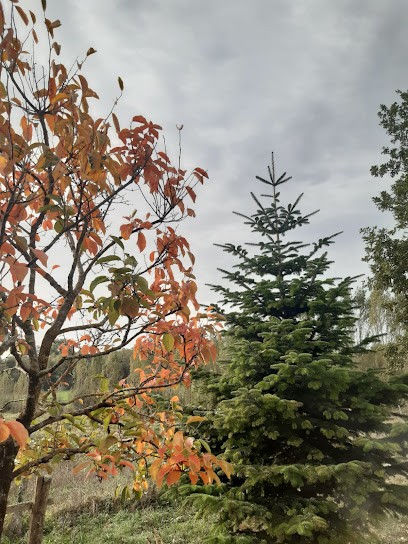 Bordeaux Families - Site De Saint-Romain, Vignoble à Sauveterre-de-Guyenne