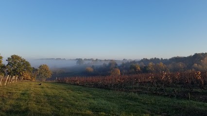 Château de la Lambertie, Vignoble à Pineuilh