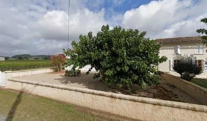 Château Palatin, Vignoble à Saint-Hippolyte