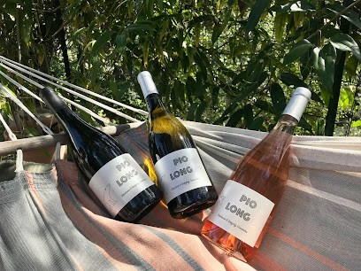 Vin Pio Long Montaud, Vignoble à Montaud