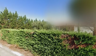 Doutre Julien, Vignoble à La Digne-d'Aval