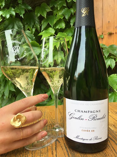 Champagne Goulin Roualet, Vignoble à Sacy