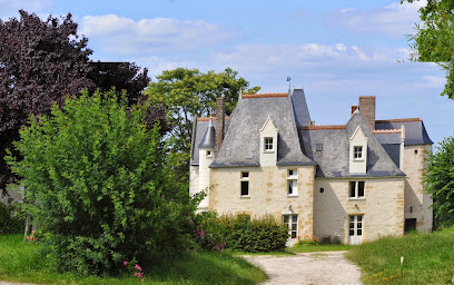 Château De La Roche Vignoble à Cheillé