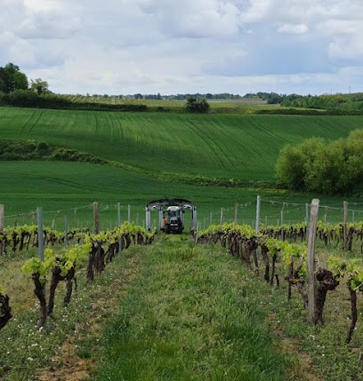 Scea Des Piniers - Fief De Rassinoux : Viticulteurs Et Producteurs, Vignoble à Courpignac