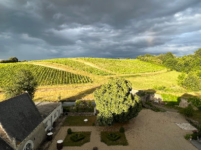 Château De Cheman Vignoble à Blaison-Saint-Sulpice