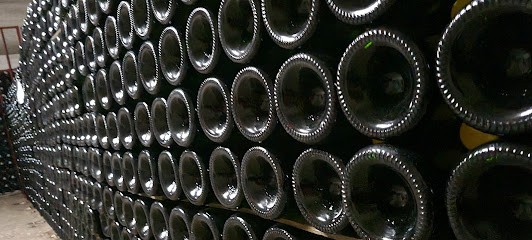 Champagne Alexandre Colson, Vignoble à Bouzy