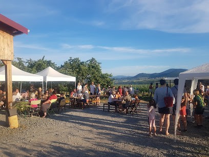 Domaine De Crêt De Bine, Vignoble à Sarcey