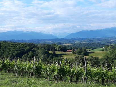 Domaine Haugarot - Vin de Jurançon, Vignoble à Saint-Faust