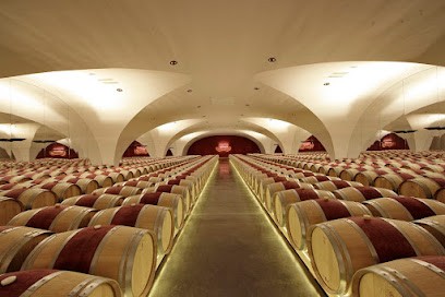 Château Du Glana, Vignoble à Saint-Julien-Beychevelle