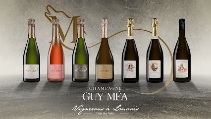 Champagne Guy Mea -SCE The Way Of The Wolf, Vignoble à Val de Livre