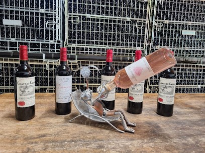 Château Cassat, Vignoble à Puisseguin