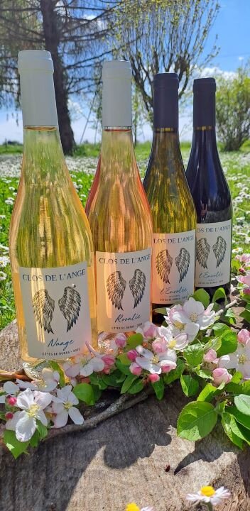 Domaine Clos De L'ange, Vignoble à la Sauvetat-du-Dropt