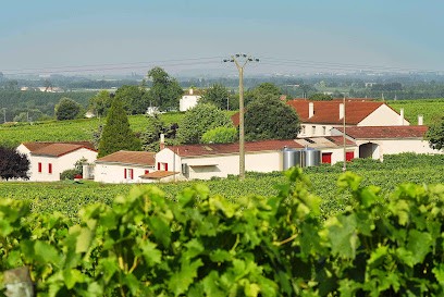 Cognac Geffard Henri, Vignoble à Verrières