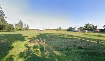 Earl Domaine De Pomponey, Vignoble à Taponas