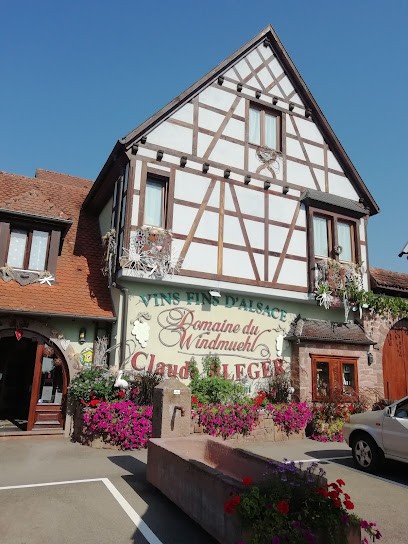 DOMAINE BLEGER By Windmuehl, Vignoble à Saint-Hippolyte