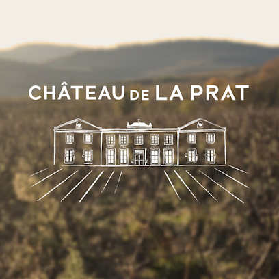 Château De La Prat Vignoble à Juliénas