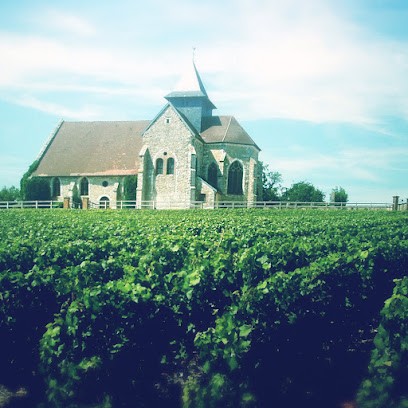 Champagne Thuillier et Filles, Vignoble à Beaunay