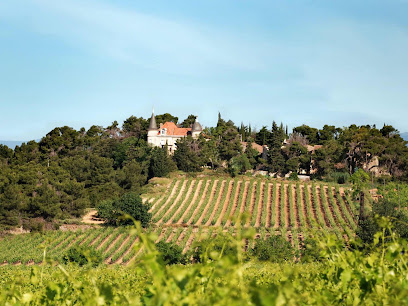 Château De Landure, Vignoble à Mailhac