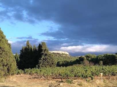 Château Aiguilloux, Vignoble à Thézan-des-Corbières