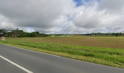 Hebrard Denis, Vignoble à Saint-Gauzens