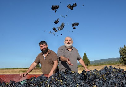 Domaine Luc Lapeyre, Vignoble à Trausse