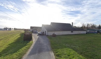 Domaine de Jarry Boisnier, Vignoble à Brain-sur-Allonnes