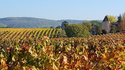 Château Saint-Sernin / Scea Cavalié, Vignoble à Parnac