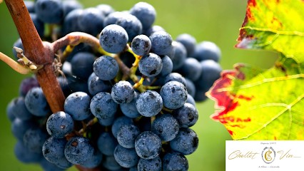 Chollet Vin, Vignoble à Néac