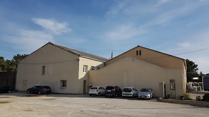 VIGNERONS DU GRAND SUD, Vignoble à Saint-Alexandre
