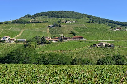 Domaine d'Argenson, Vignoble à Odenas