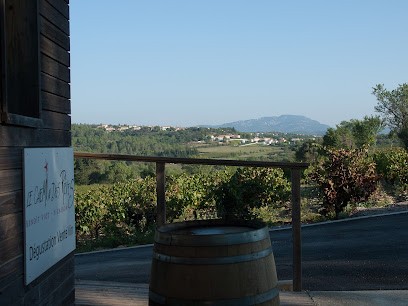 Chemin Des Rêves, Vignoble à Saint-Gély-du-Fesc