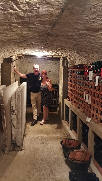 Champagne Lucien Roguet, Vignoble à Mailly-Champagne