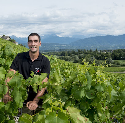 Domaine Du Coteau De Tormery - Guillaume Quenard Vignoble à Chignin