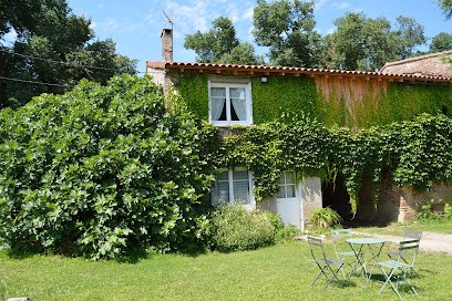 Gîte de Palosse - Laetitia et Didier Rigal, Vignoble à Mazères