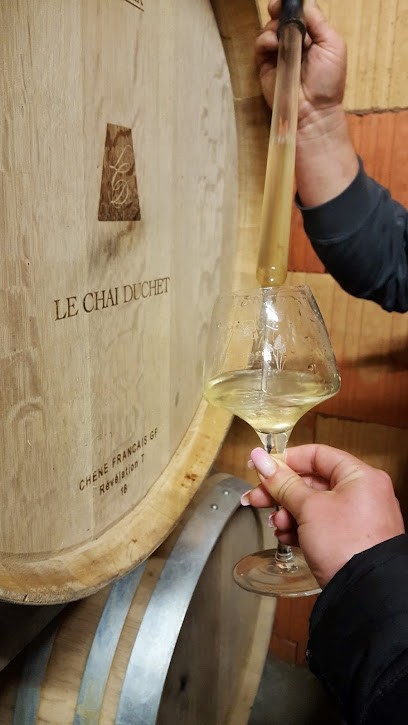 LE CHAI DUCHET, Vignoble à Viré