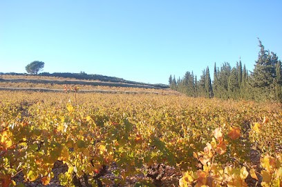 domaine de l'Architecte, Vignoble à Thuir