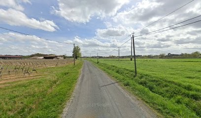 Tach Alain, Vignoble à Langon