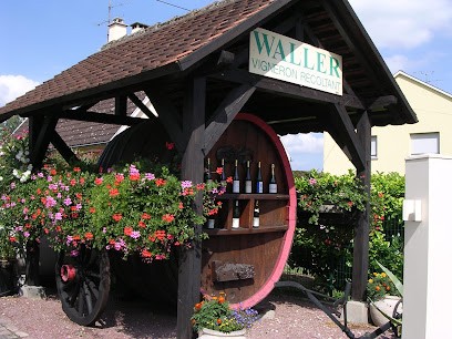 EARL Jean-Rémy Waller, Vignoble à Wettolsheim