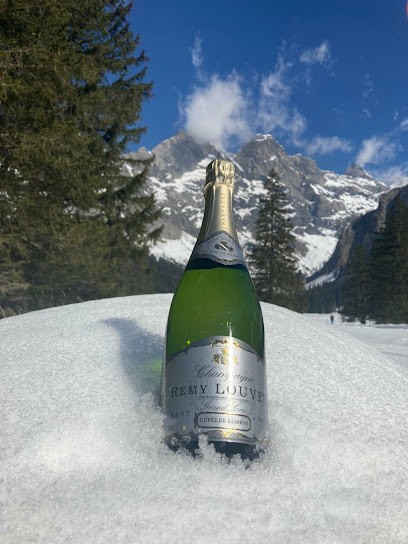 Champagne Remy LOUVET, Vignoble à Bouzy