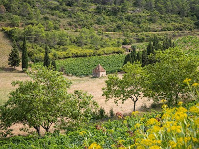 Mas Champart, Vignoble à Saint-Chinian