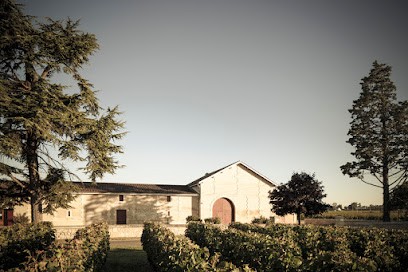 CHÂTEAU MONDORION Saint émilion Grand Cru, Vignoble à Saint-Sulpice-de-Faleyrens