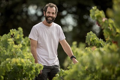 Domaine Jean DAVID, Vignoble à Séguret