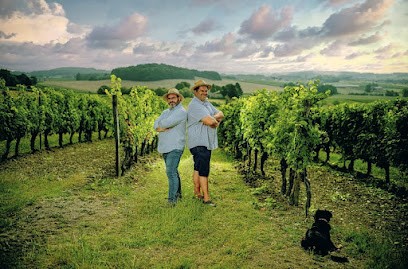Chateau Les BRANDEAUX, Vignoble à Thénac