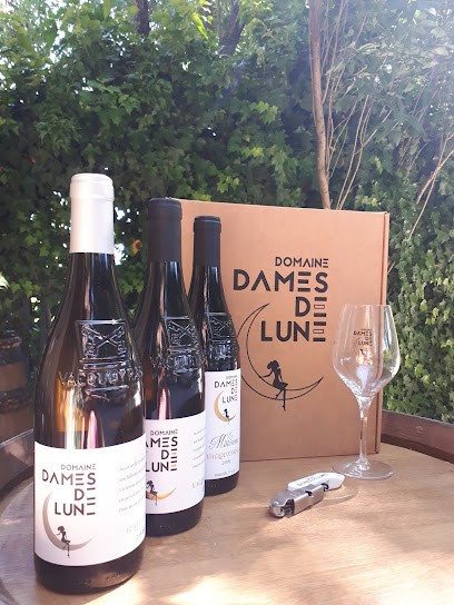 Domaine Dames De Lune, Vignoble à Sarrians