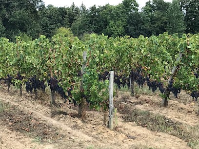 Vins Corporandy, Château Le Moulin De La Marzelle, Vignoble à Tauriac