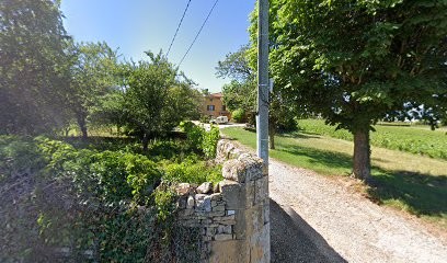 Carron Colette & Denis, Vignoble à Frontenas